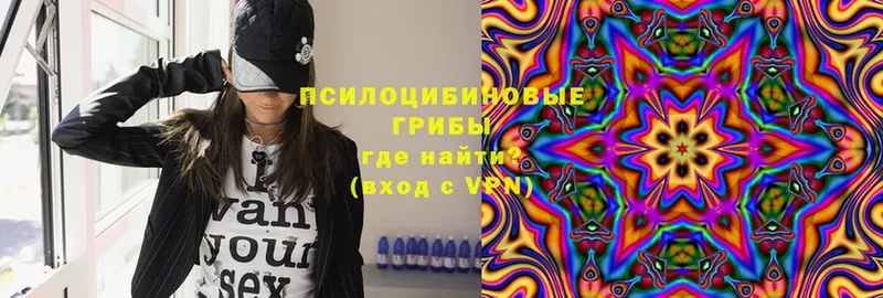 Псилоцибиновые грибы мухоморы  Грязовец 